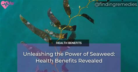 Unraveling the Science Behind Magic Seaweed at Juno Beach